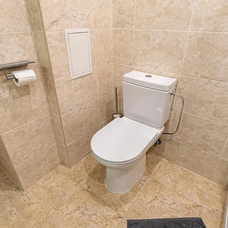 Dandelion Baznicas Apartament